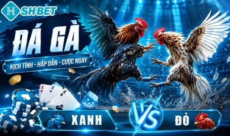 Banner đá gà SHBET với hình ảnh hai chiến kê đối đầu kịch tính, giao diện cá cược trực tuyến hiện đại và trải nghiệm giải trí hấp dẫn dành cho người chơi.